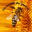Dia Mundial das Abelhas